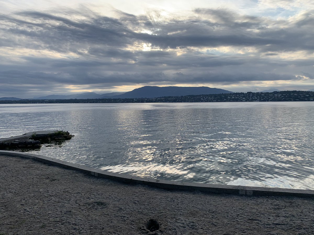 UnitedStringsEU's tweet photo. Lovely setting for @aureaquartet concert this morning #geneva #outdoors #concert #lakeside #covid #hope #sharing https://t.co/gKJ2oX2NZr