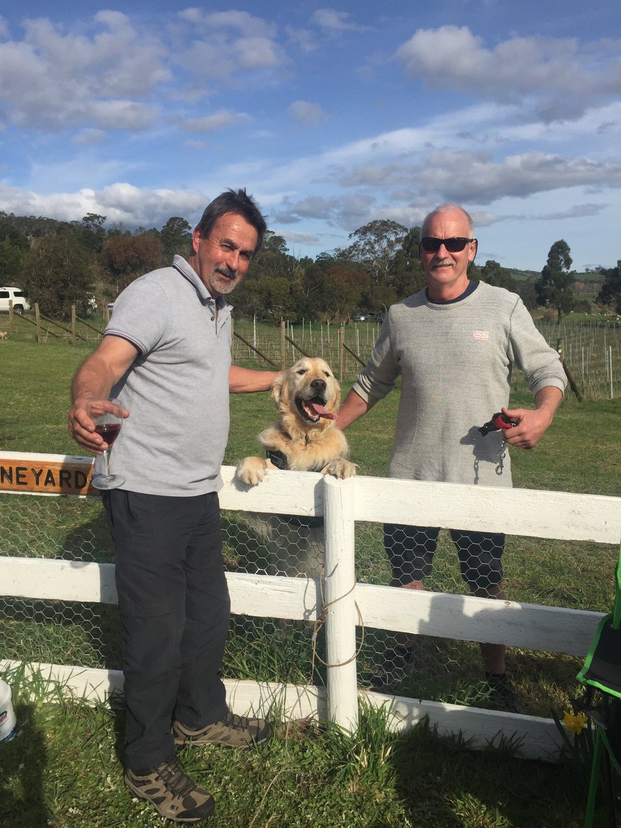wobblybootvine's tweet photo. Pizza and Pinot day at #wobblybootvineyard Over 120 guests enjoying multiple vintage #pinots and scrummy #pizza
See you in two weeks time for our next fundraiser #wineandwoofs https://t.co/x6jymjkypR