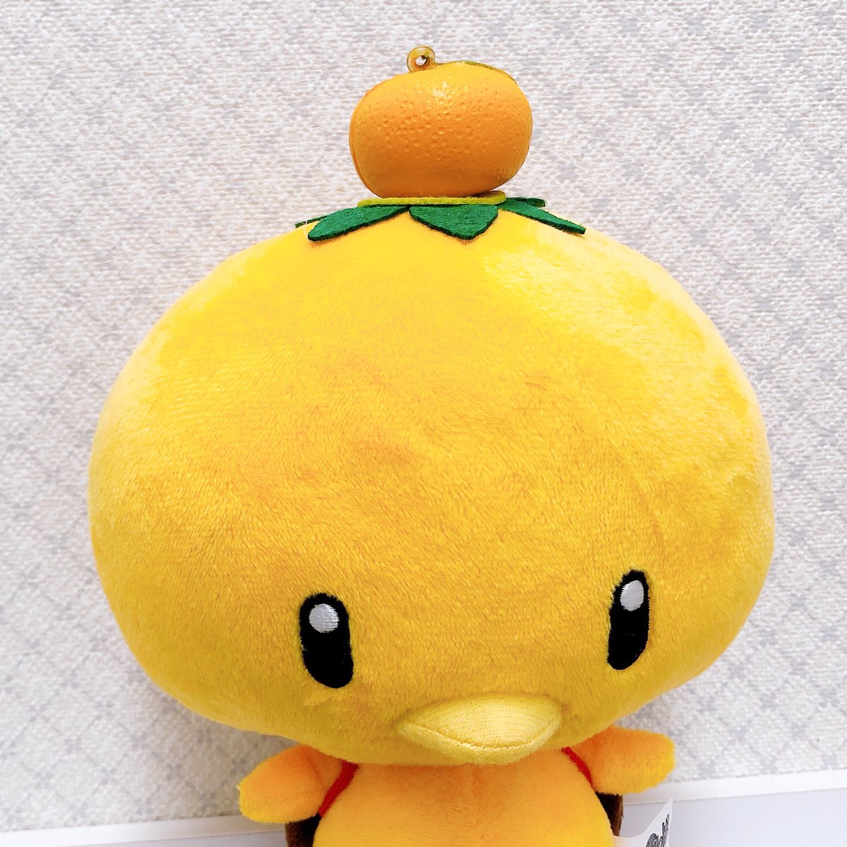 みかんかっぱshowroom 公式 お待たせしました みかんかっぱちゃんぬいぐるみ 9日水曜日より ショールームでの販売開始致します みかんちゃん ライムちゃん さくらちゃんの中サイズソフビの販売もスタートしますので よろしくお願いします