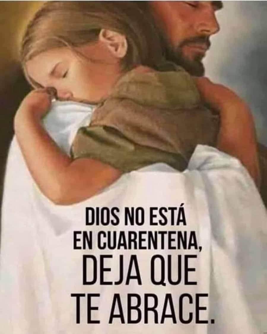 DelValleGreen's tweet photo. Señor... tú sabes lo que vivo, lo que me preocupa, lo que siento, lo que anhelo, lo que me falta y lo que es para mi. Tú sabes cuando rio, cuando estoy en soledad o cuando estoy triste. Acompáñame, bendíceme y no me sueltes de tu mano, por que hoy como siempre te necesito. Amén. https://t.co/4lU5pr9gPQ