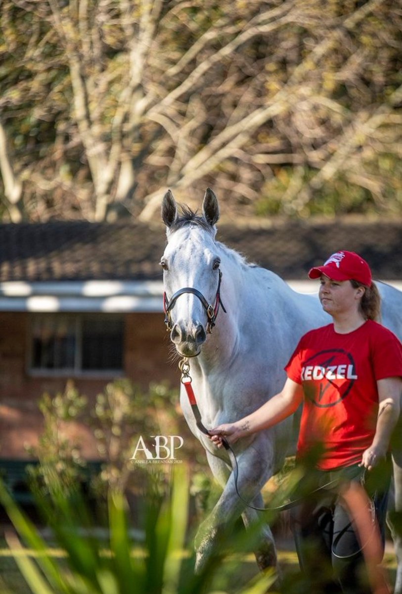Lauren_Smyth_'s tweet image. Drunken thoughts. Been in Australia 3 years and I've managed to work with 3 of the fan favourites 😍 right place, right time 👌 #Chatauqua #Redzel #TheCandyMan