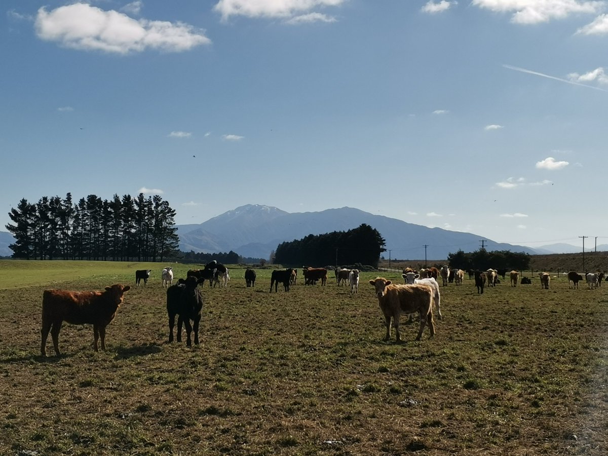 Lazy Sunday morning views 🙌
