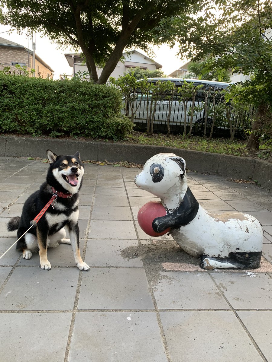 1️⃣「月曜から夜ふかし」に出てた #パンダに見えない 遊具問題の遊具