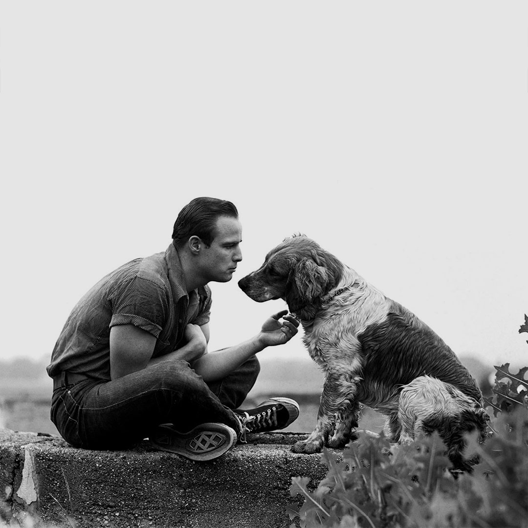 fourandsons tweet media