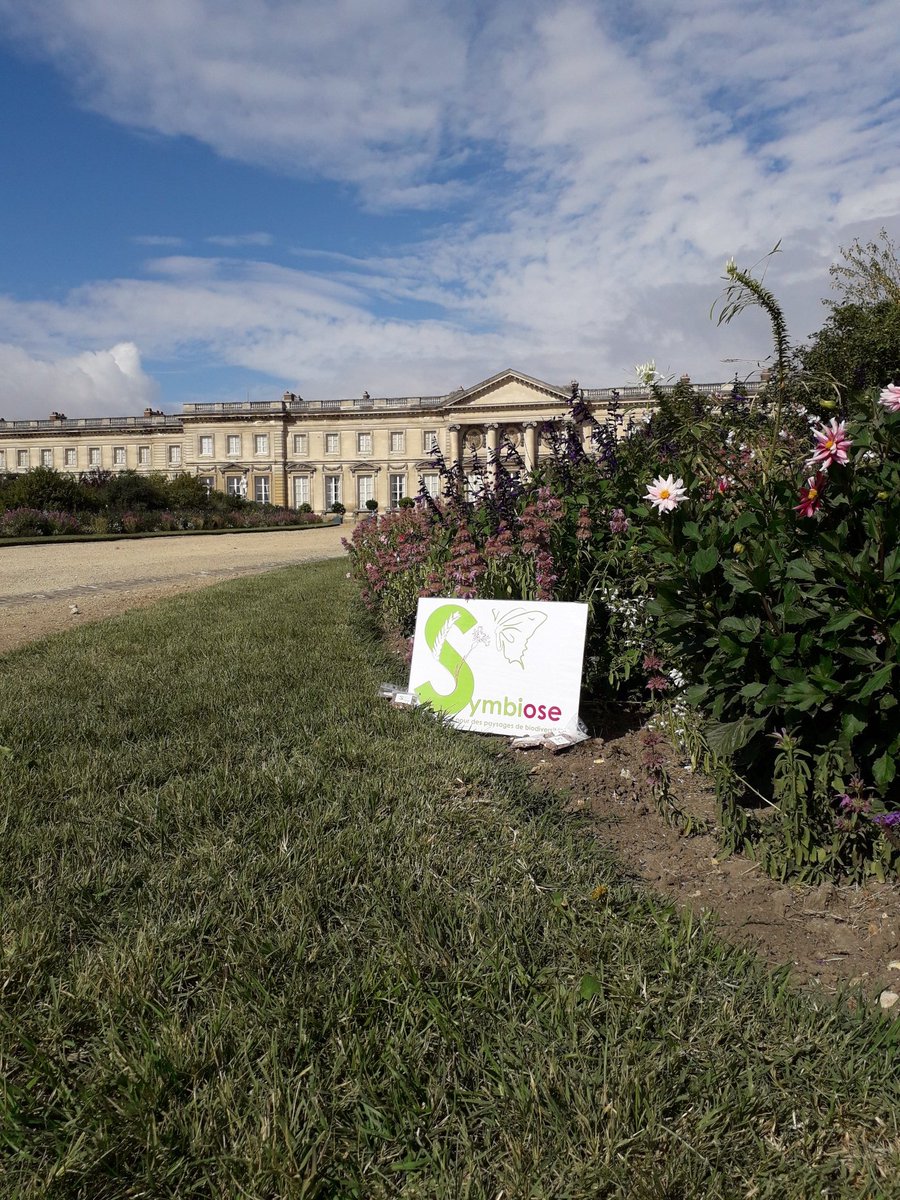 Symbiose est toujours à la Fête de la ruralité !  🌱👨‍🌾🌾🐞🐝👩‍🌾🐮 #symbiose #biodiversité #agriculture