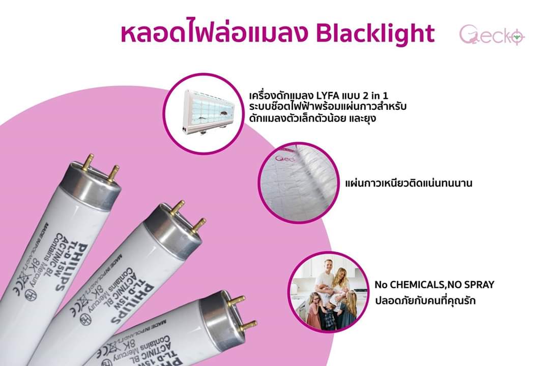 GeckoCo's tweet photo. #หลอดไฟล่อแมลง
#หลอดไฟดักแมลง
#Blacklight
#เครื่องไฟดักแมลง
#GeckosupplyandService
#เครื่องดักแมลงวัน https://t.co/quiSccXYwu