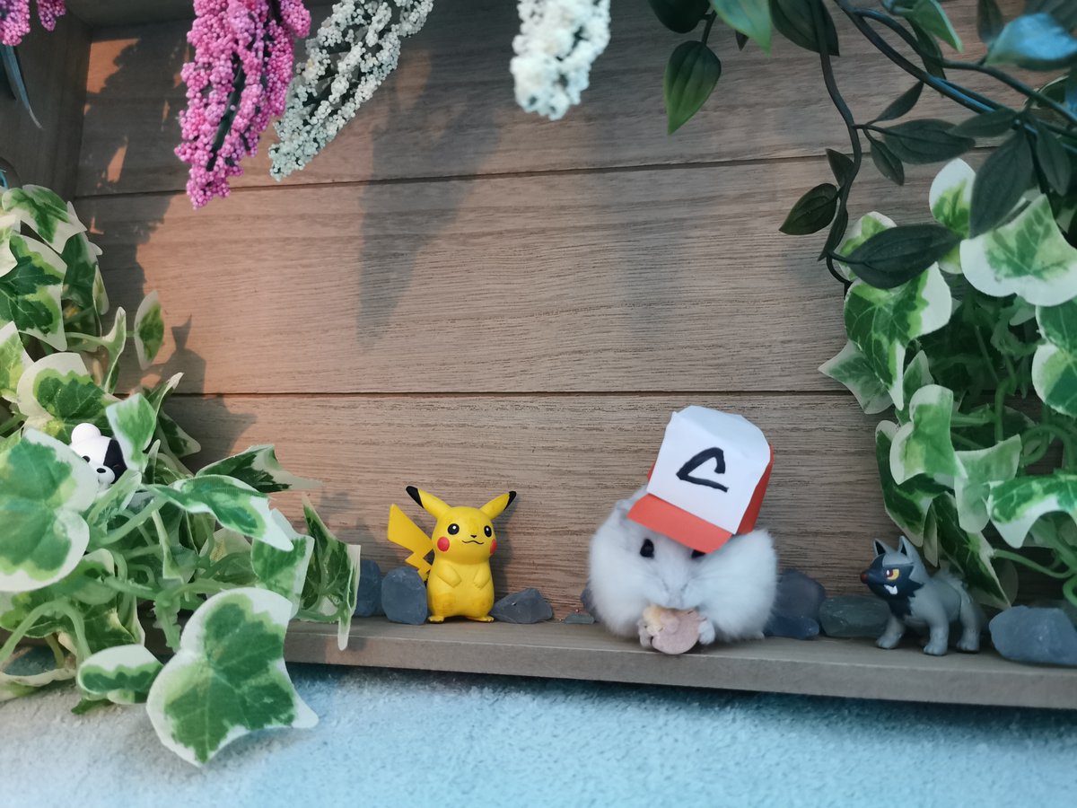 engelmilu's tweet image. Nein, Ash! Du sollst Pikachu fangen, nicht den Pokéball essen!! 
Danke an @autocraticsin für deine Unterstützung &amp;lt;3 &amp;lt;3 
#conlinehamstern #ConLine20 @Connichi