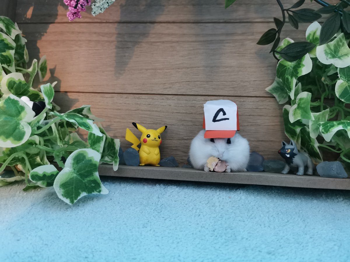 engelmilu's tweet image. Nein, Ash! Du sollst Pikachu fangen, nicht den Pokéball essen!! 
Danke an @autocraticsin für deine Unterstützung &amp;lt;3 &amp;lt;3 
#conlinehamstern #ConLine20 @Connichi