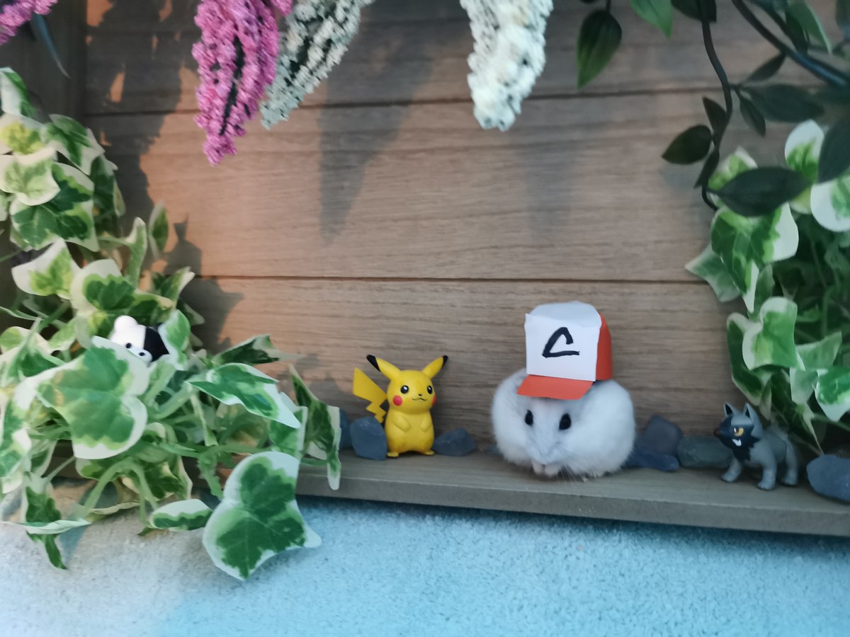 engelmilu's tweet image. Nein, Ash! Du sollst Pikachu fangen, nicht den Pokéball essen!! 
Danke an @autocraticsin für deine Unterstützung &amp;lt;3 &amp;lt;3 
#conlinehamstern #ConLine20 @Connichi