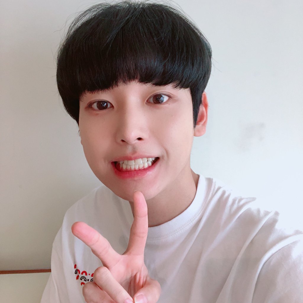 Kitten_Archive's tweet photo. 터벅터벅 덕호의 일상 https://t.co/X8WhDwedF2
