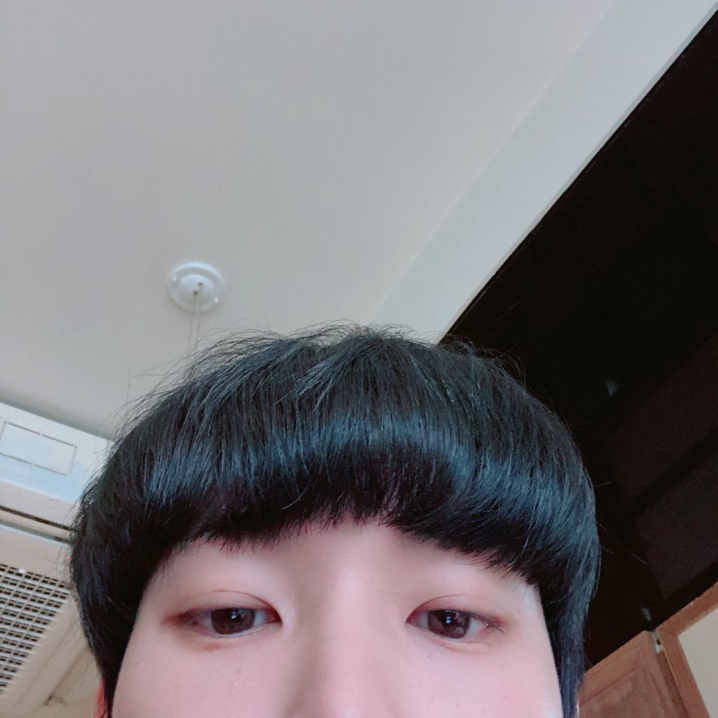 Kitten_Archive's tweet photo. 터벅터벅 덕호의 일상 https://t.co/X8WhDwedF2