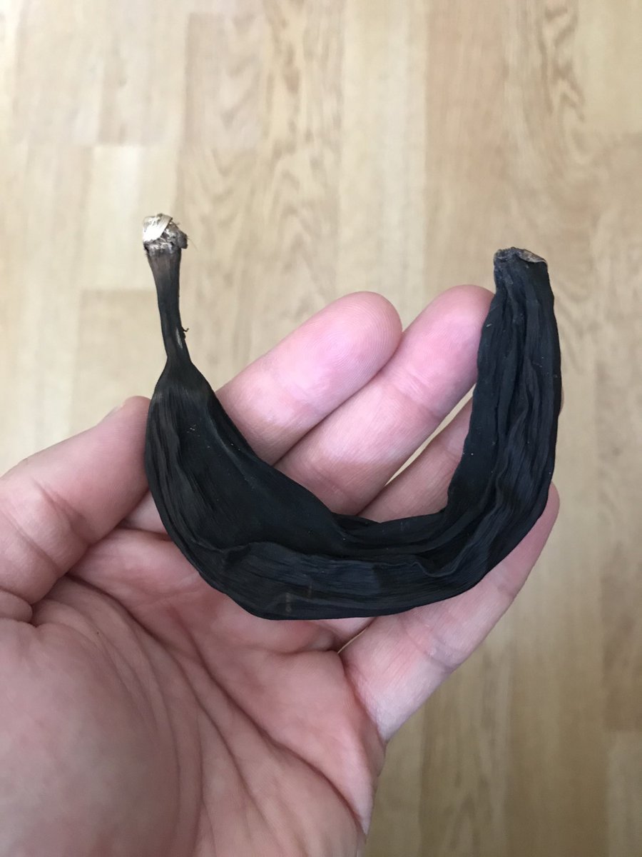 javigoto's tweet photo. Dice mi hija que acaba de encontrar el plátano que llevaba para tomar en el recreo el último día de clase... allá por marzo. https://t.co/hKbrNMDwdH