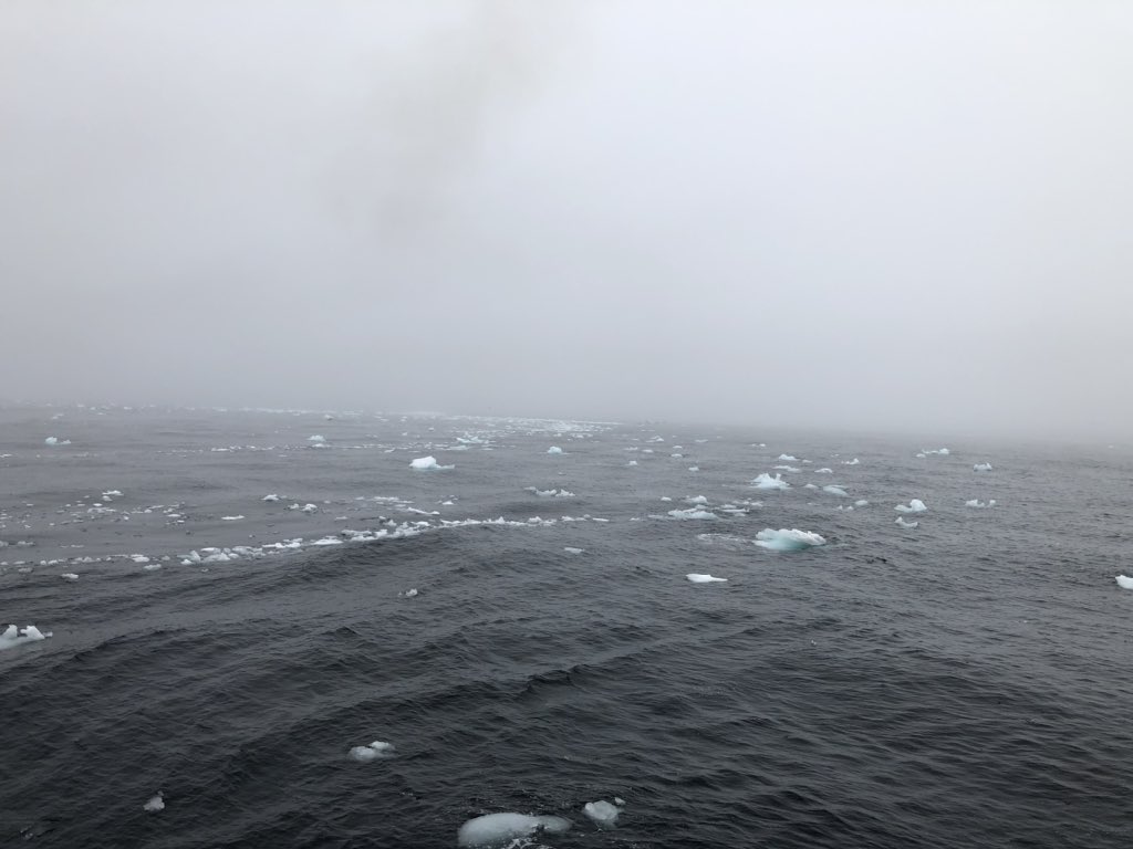 First experience of sea ice of CE20009 just of the Greenland coast! Current water temperature is -0.8 #RVCelticExplorer @EOS_NUIG @GeogNUIG @MarineInst @RyanInstitute @CORExGalway @JPI_CE2COAST @JPIClimate