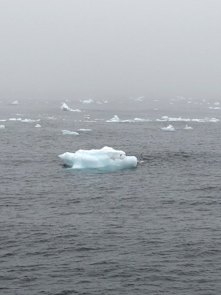 Aedin_McAleer's tweet photo. First experience of sea ice of CE20009 just of the Greenland coast! Current water temperature is -0.8 #RVCelticExplorer @EOS_NUIG @GeogNUIG @MarineInst @RyanInstitute @CORExGalway @JPI_CE2COAST @JPIClimate https://t.co/jee93839pq