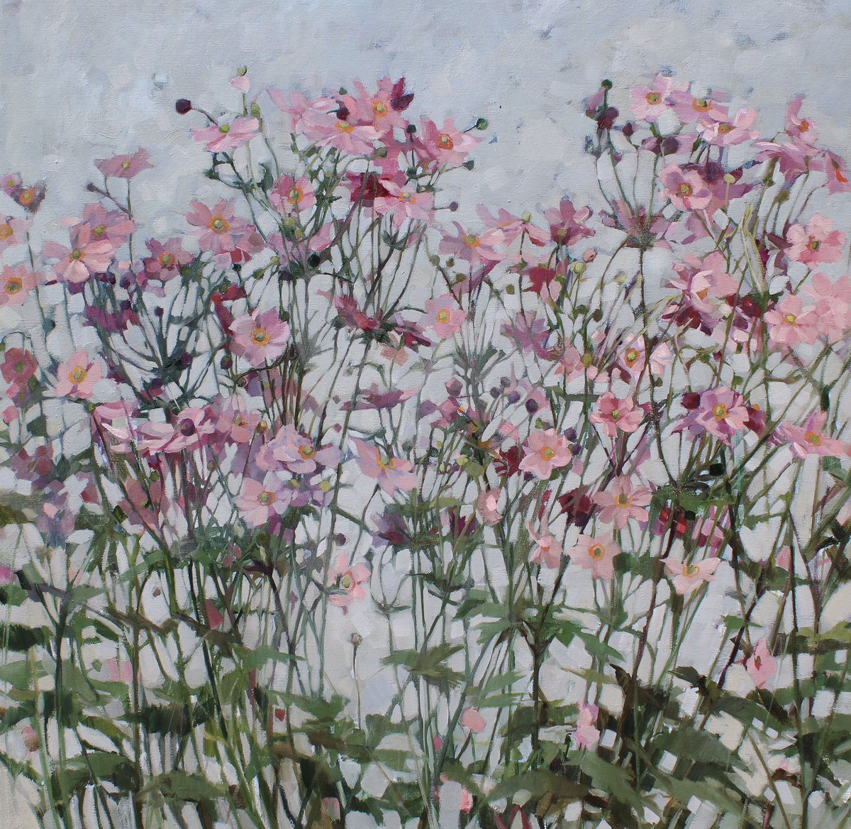 Pink Japanese Anemones... #septemberflowers #japaneseanemones #pink #garden #gardenflowers #flowerpainting #floral #floralpainting