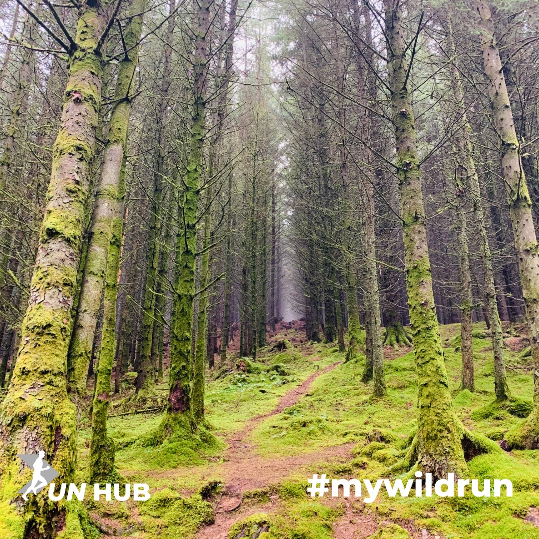 runhub_uk tweet picture