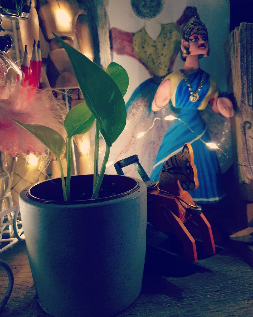 Prettyworld63's tweet photo. #artspacegallery #artworld #deco #homedeco #plantslover #artandcolours #arthouse #art #artisthome #artisthome #artstudio #artandcrafts #artlover #homegallery #houseplant #plantsdecor #artistworld #decoration #tamilartstudio #tamilartist #artiststylist #homegaller #artstudiospace https://t.co/YpjwL9OQpM