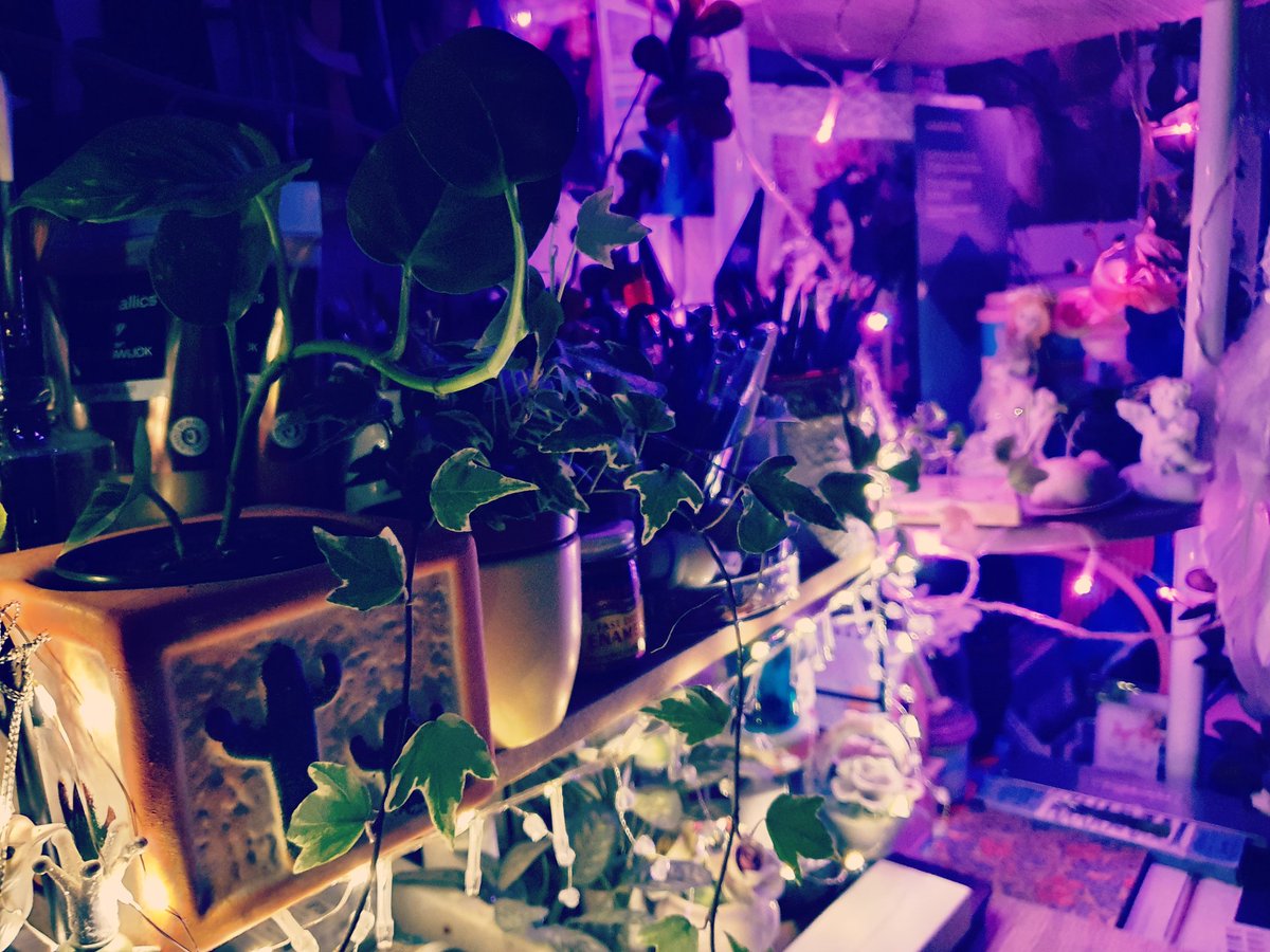 Prettyworld63's tweet photo. #artspacegallery #artworld #deco #homedeco #plantslover #artandcolours #arthouse #art #artisthome #artisthome #artstudio #artandcrafts #artlover #homegallery #houseplant #plantsdecor #artistworld #decoration #tamilartstudio #tamilartist #artiststylist #homegaller #artstudiospace https://t.co/YpjwL9OQpM
