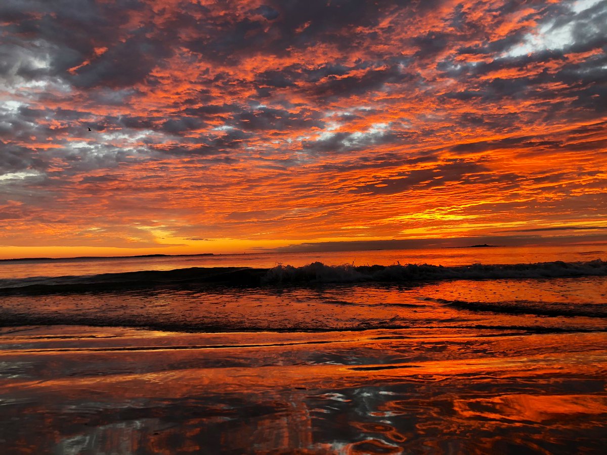 maria_manning4's tweet photo. WOW 🤩 @WMTWTV #saco #ferrybeach #capeellis #maine https://t.co/fK3B96Ugcf