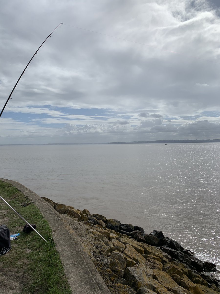 Darrell Hoare 🏴󠁧󠁢󠁥󠁮󠁧󠁿 tweet media