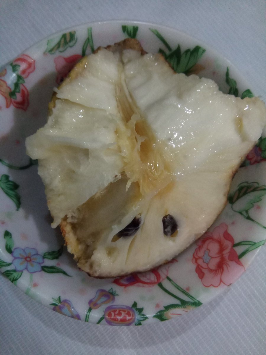mscolt45's tweet photo. 🤤🤤 Yummy #Guyabano fruit!! https://t.co/3RzHj1LnPl