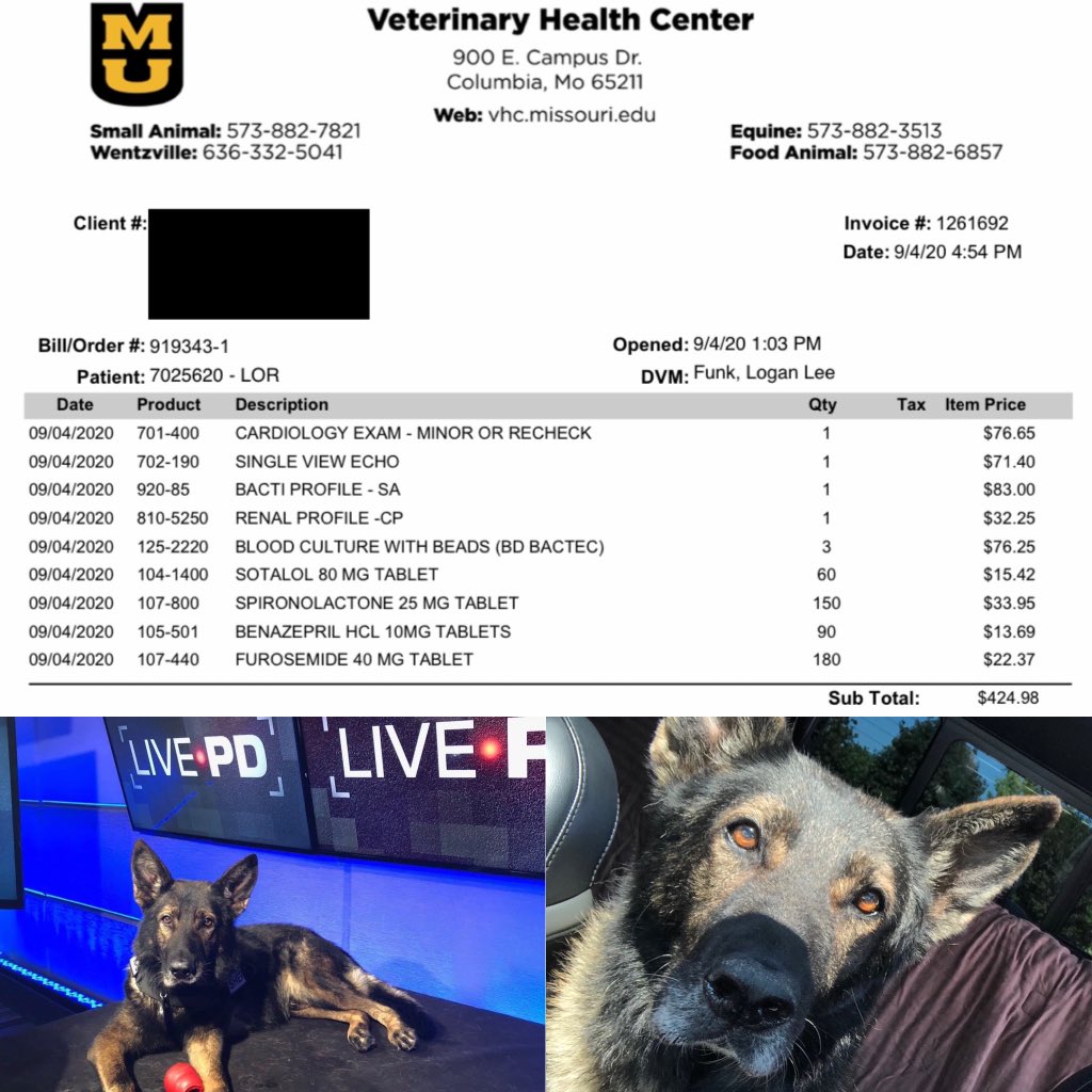 Project K9 Hero tweet media