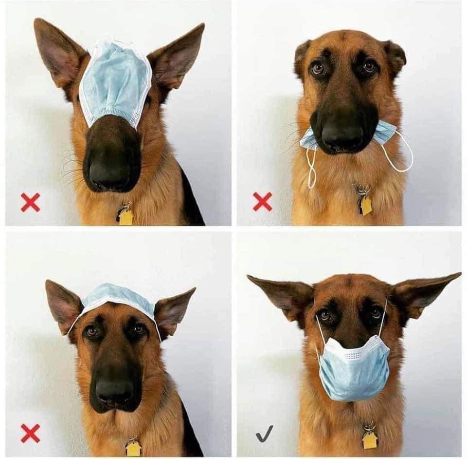 UK Mask Network tweet media