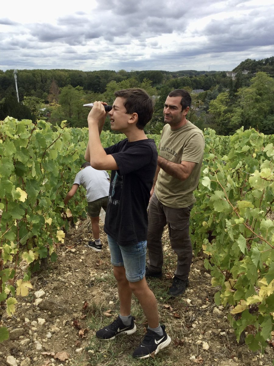 Harvest kicks off tomorrow morning at Domaine Careme. The boys were helping take samples from the vineyard yesterday. All systems go! #vouvray #teamcareme #harvest2020 #vendanges2020 #fandechenin #drinkchenin #loirevalleywines #taniaandvincentcareme #loireharvest #vincentcareme
