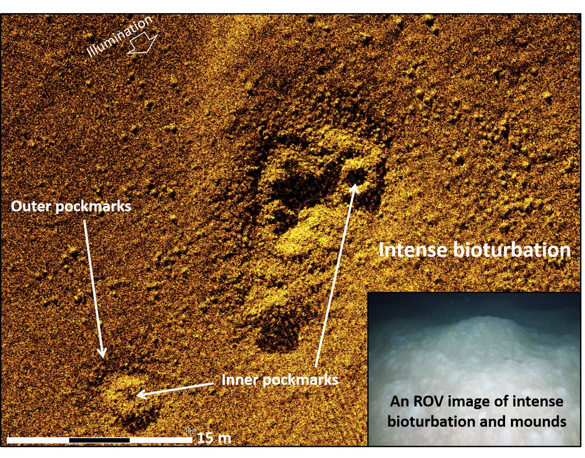 Exploration_Lab's tweet photo. Have you seen a pockmark that close with AUV acoustic surveying?
#AMELab #pockmark #seafloor https://t.co/IjFhy4rdHX