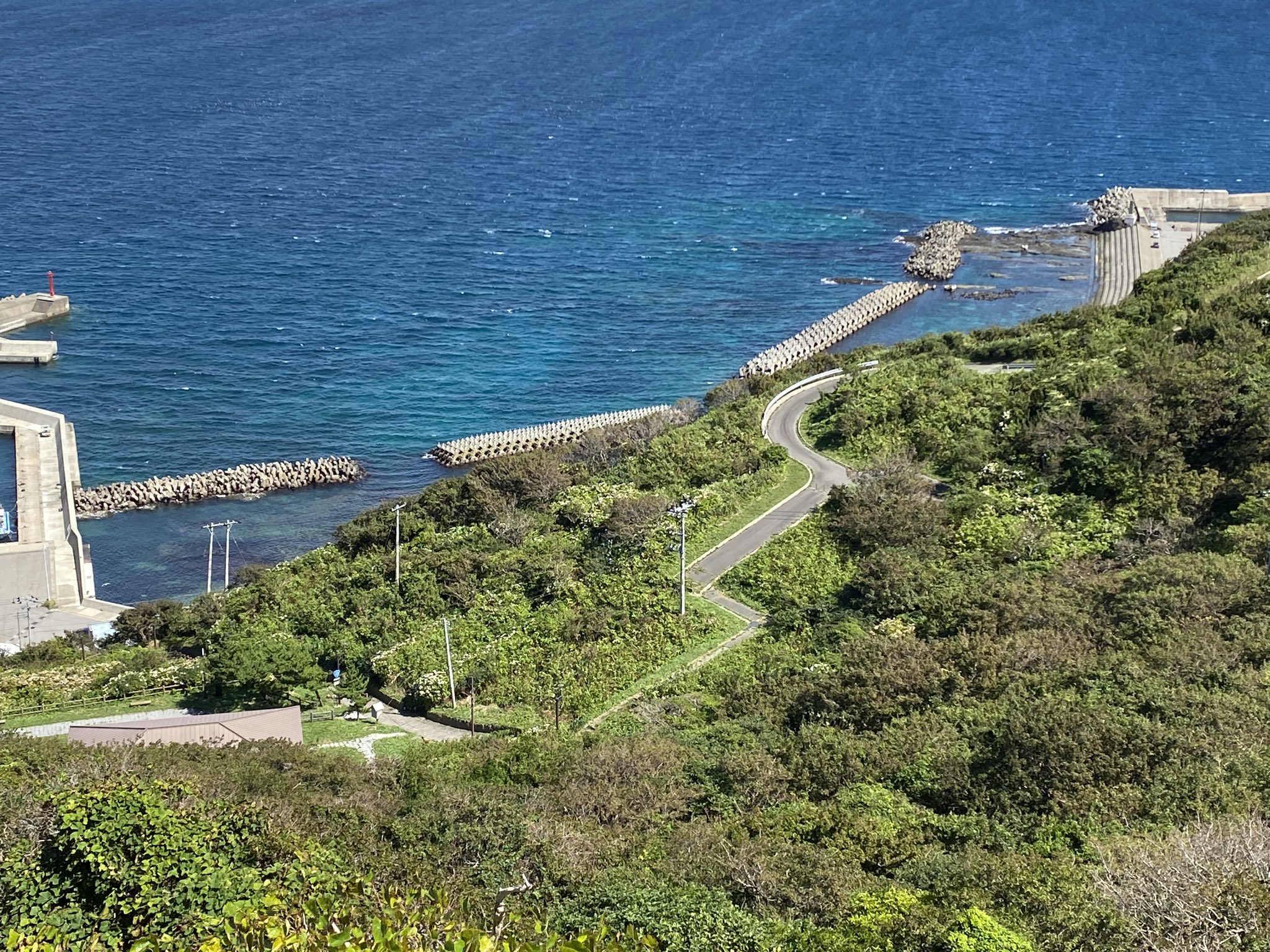 ホワイトベース教習所 Twitter Search Twitter