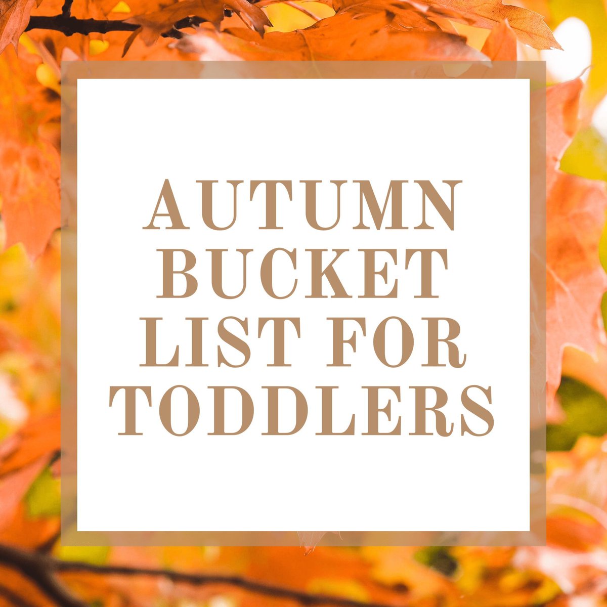 thelifeofdeem's tweet photo. Do you have a bucket list this Autumn for your toddler?  Here’s what’s on our Autumn Bucket List for Toddlers👇🏻

https://t.co/vS7AyEuyNF
#mummybloggers #parenting #toddlers https://t.co/9ER4kqrBob
