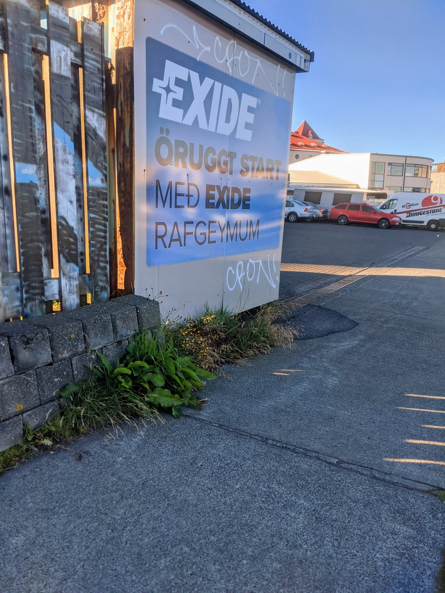 Náttúra Reykjavíkur (@natturarvk) on Twitter photo 