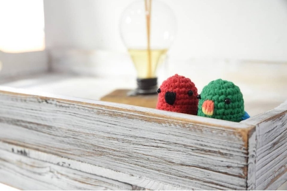 까꿍😍
이 예쁜 아이들은 누굴까요?
애조인들은 얼굴만 봐도 커플:)

#앵무새 #페트리코 #뉴기니아
#parrot #Eclectusparrot