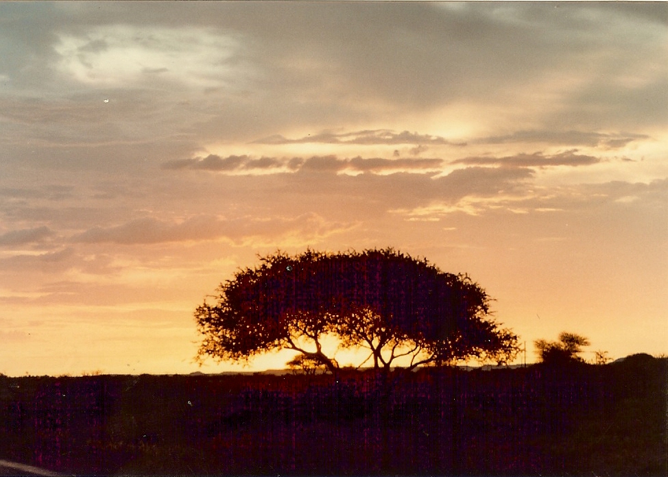 #Sundaysunsets #SouthAfrica #Kleinemond near #PortAlfred #Harties #Bushsunset @always5star #sundaysunsets @RoarLoudTravel