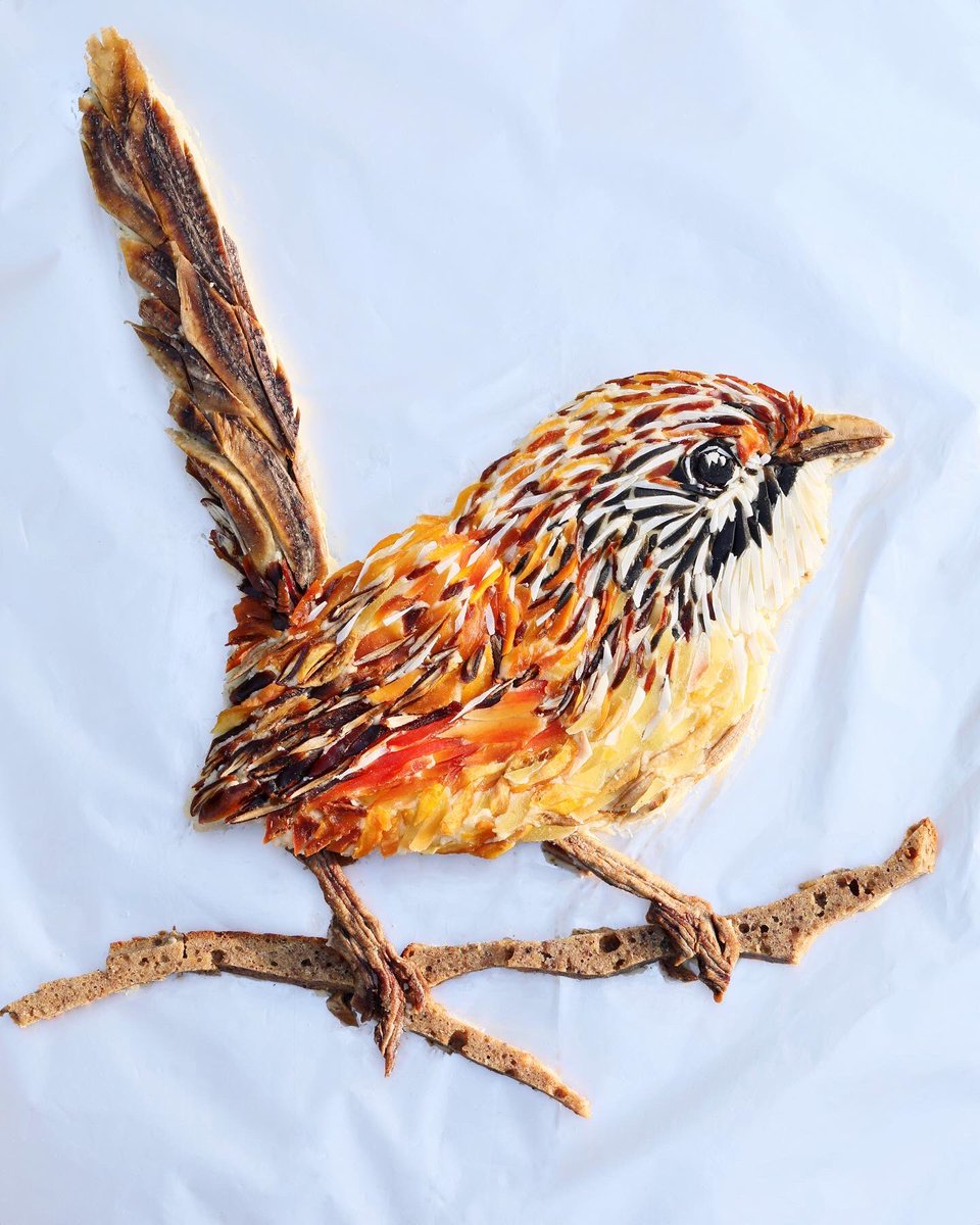 moth_nut's tweet photo. It's #TSBakeOff time! This year's entry is a Mallee Striated #Grasswren. These beautiful #threatenedspecies are declining from drought, fire and habitat clearance.
The #cake base is a native spice gingerbread, with plumage created from a mix of sliced dried fruit and coconut. https://t.co/hrhAVfTbfi