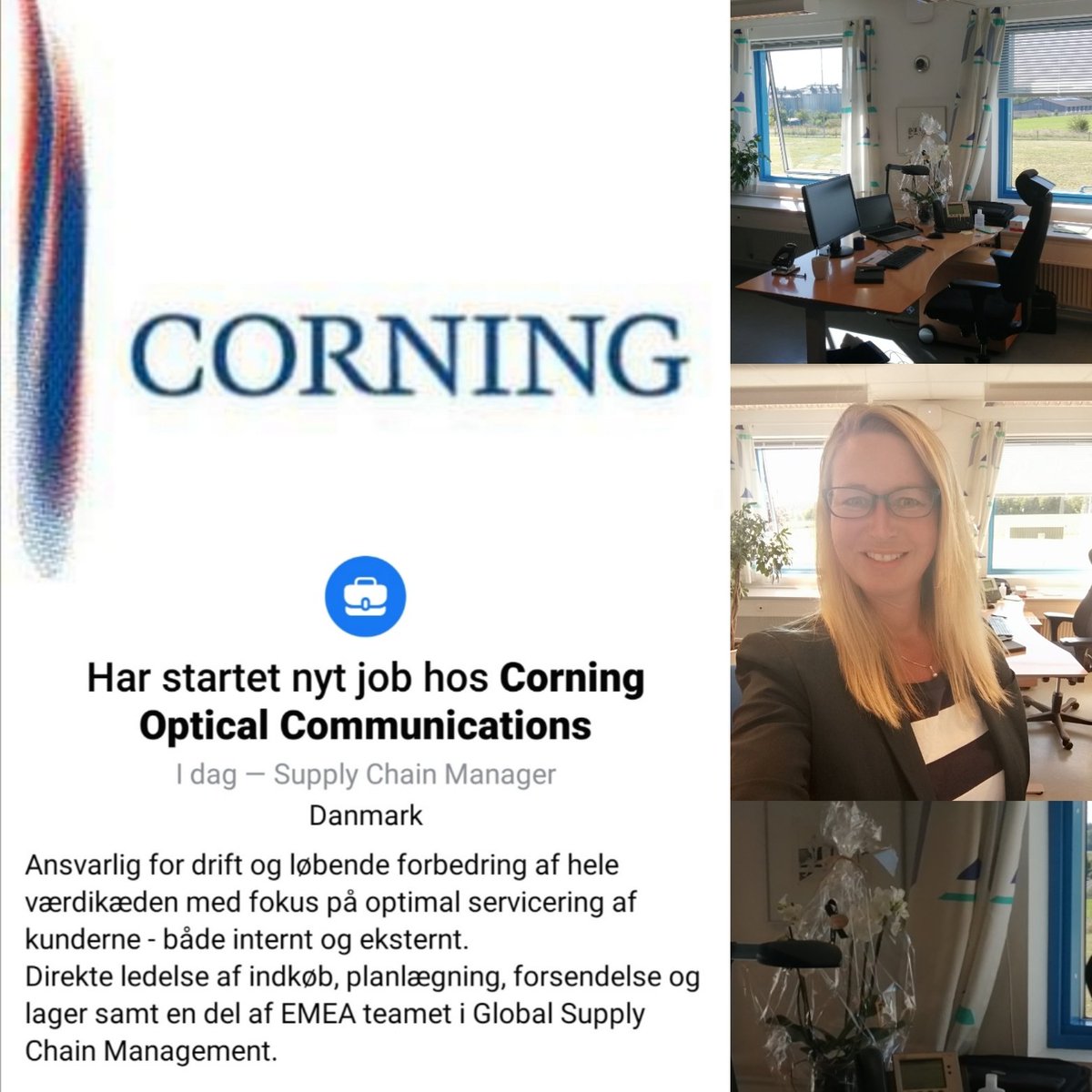 Chainable Consulting tweet media