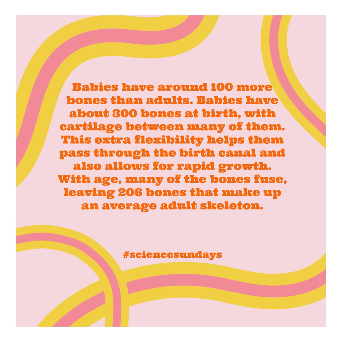 My_TeeGirls's tweet photo. #sciencesundays https://t.co/pgAr5uzEjC