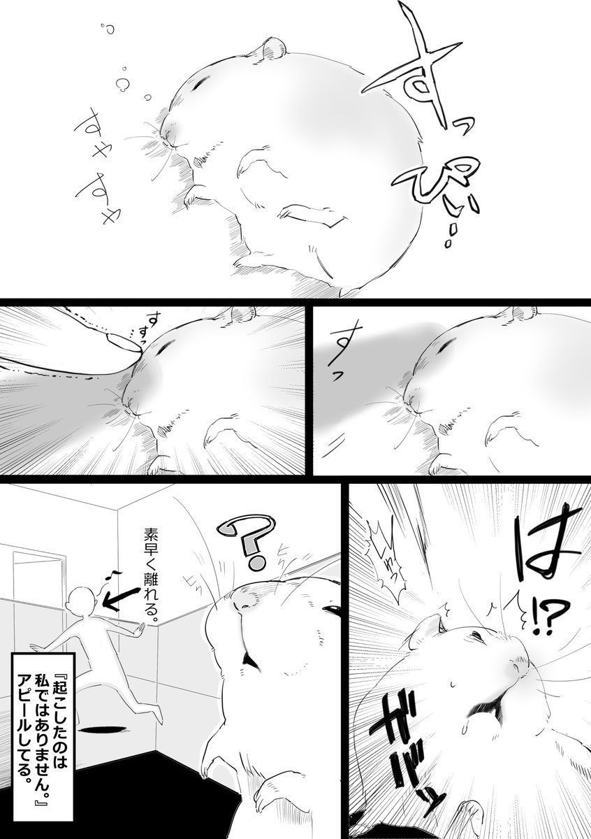 100%バレてる。
#ハムスター漫画 