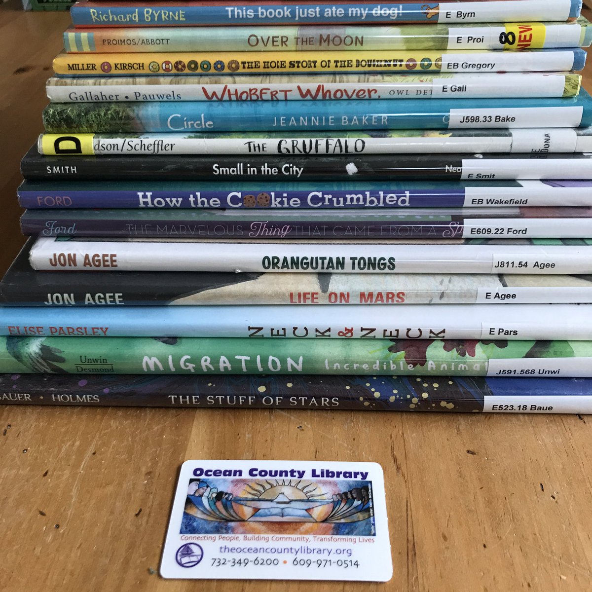 Here are this week’s library books!
#NationalReadABookDay #ReadABookDay #LibraryCardHero