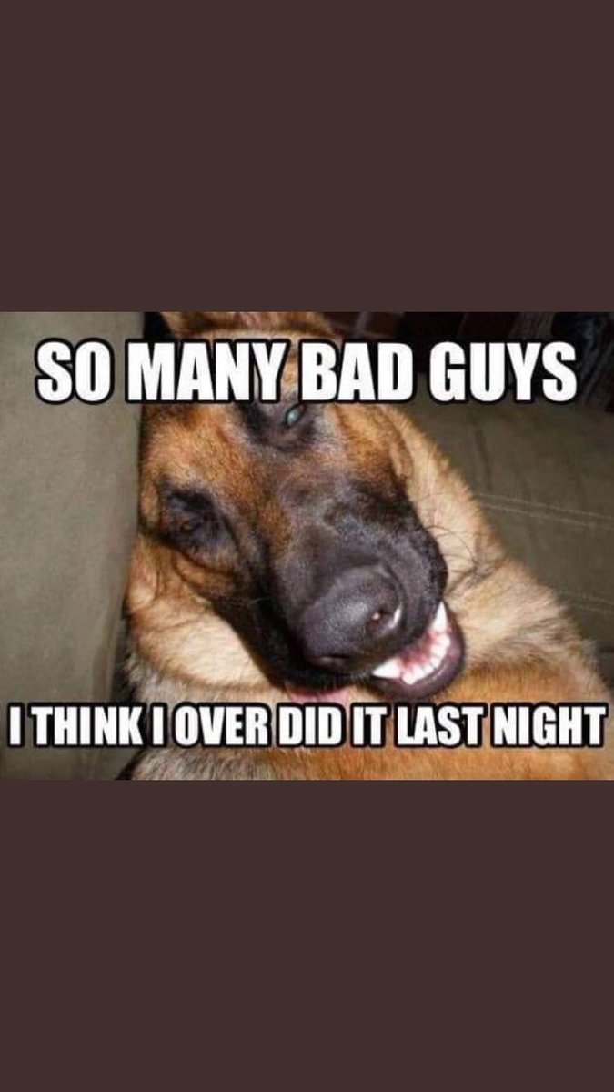blonde999_julie's tweet photo. @gpdogsection @GwentandMore Great work Officer Toby ! #thenoseknows #teamgotcha 🐾🐾🐾 https://t.co/nAhbl0jJrs