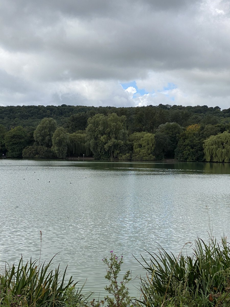 MazC1975's tweet photo. Sunday morning...a jog around the lake, a spot of nature and a couple of comments from my fellow runners on my @ManandTheEcho t-shirt. Theyโll make a distance runner of me yet....or possibly not ๐. In other news, also spotted a bloke running in his pyjamas ๐ณ#onlyinstoke https://t.co/vxcPstD6qB