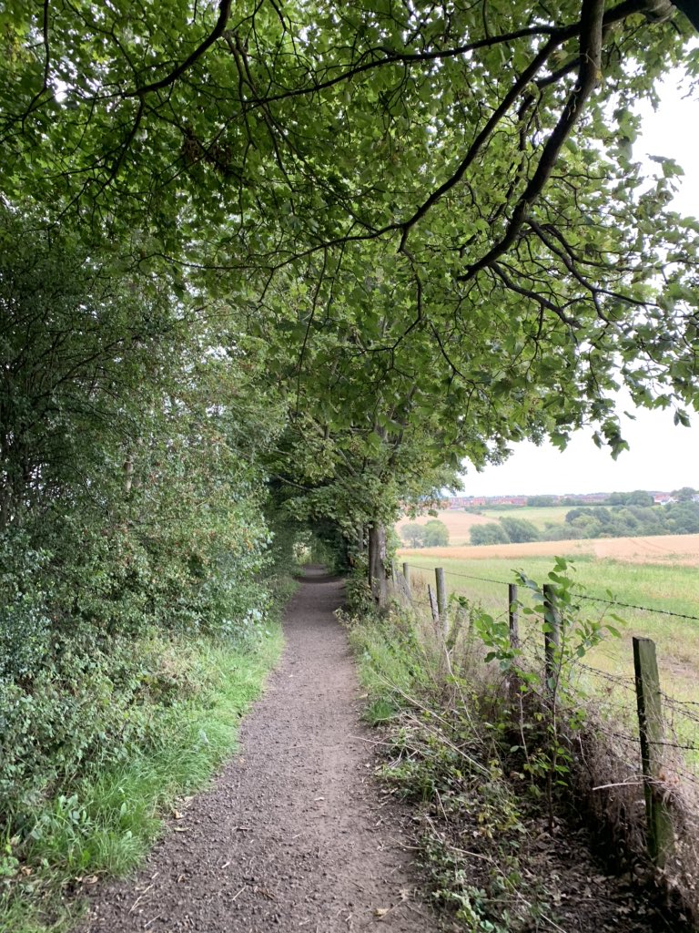 lesleyw63's tweet photo. Despite the rain I enjoyed my walk along the Teesdale Way with @PWharton7   Beautiful River Tees https://t.co/QEWZbqwKOL