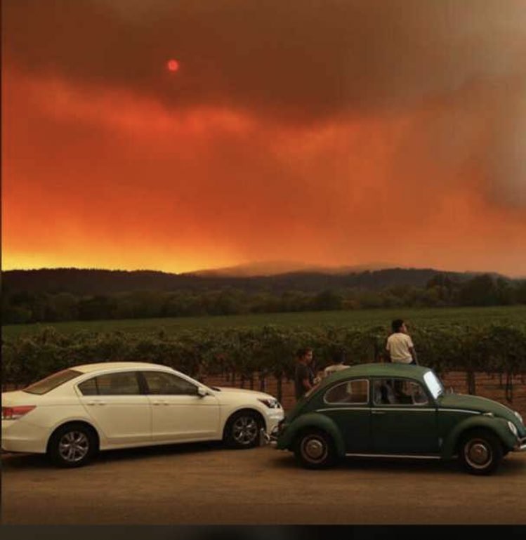 🦞🇳🇬 tweet media