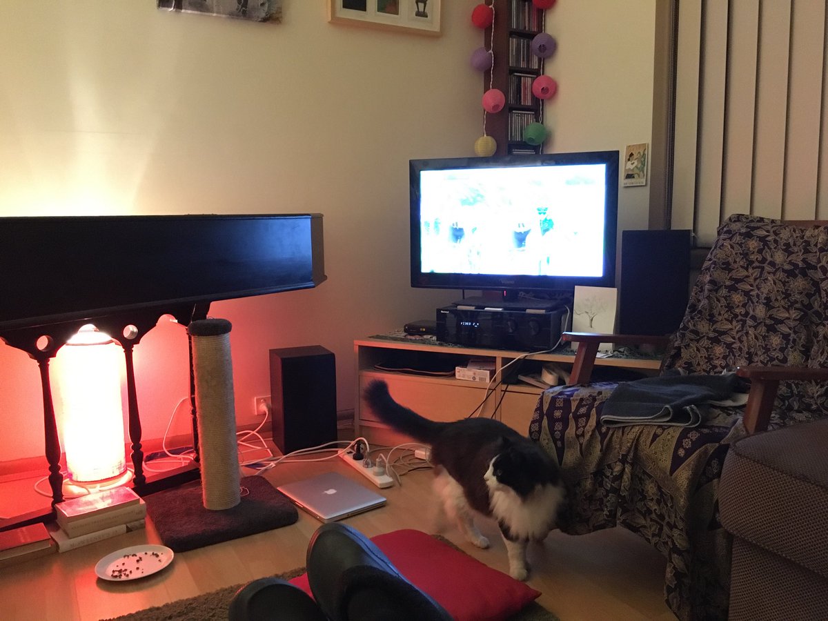 dobesaurus's tweet image. Very entertaining start to tonight’s proceedings - &amp;amp; Barrow #tourcat agrees @CyclingCentral⁩ #sbstdf