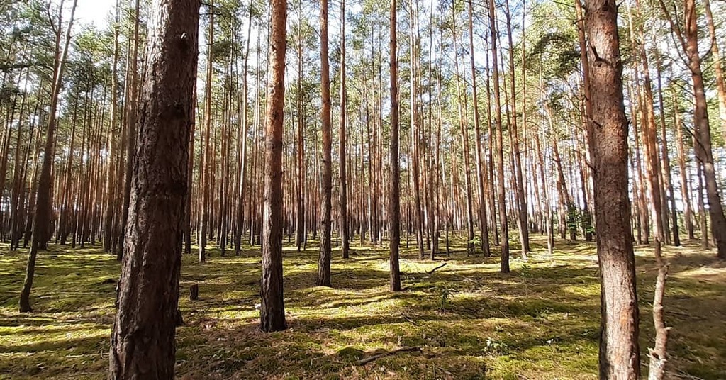 ivetimeapp's tweet photo. #ivetime for #silence and #nature #bossofmytime #spontaneous  #ivetime #bossofmytime #spontan #spontaneous https://t.co/h1E86FWCEs
