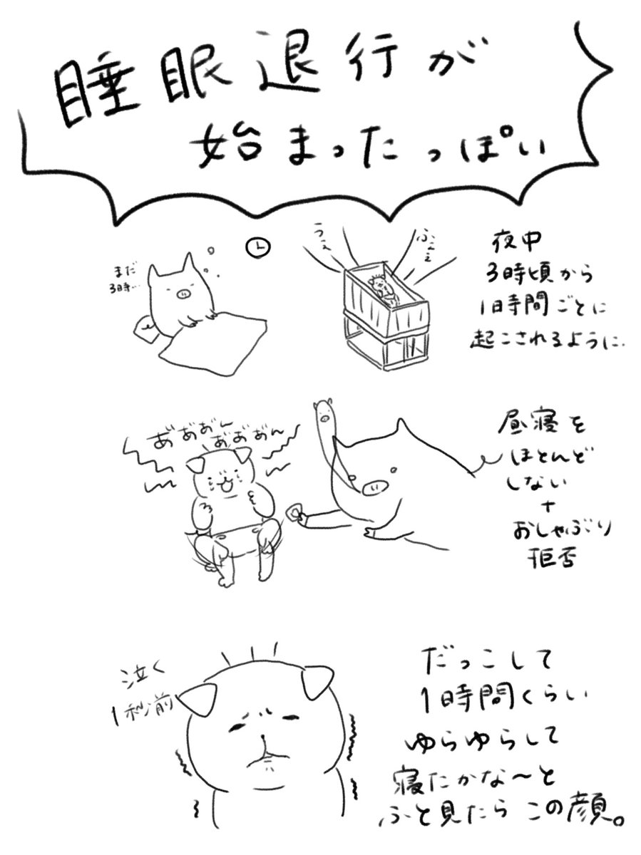 退行 睡眠 2歳児が急に寝なくなる? 効果的だった睡眠退行を乗り越えるコツ4つ｜海外ママプレナーSacra｜note