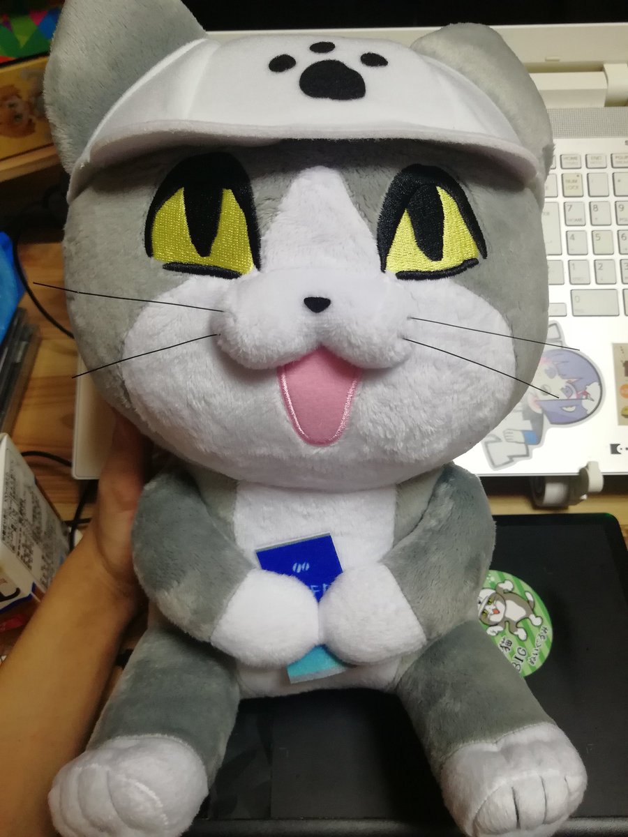 微生物 ゲーセン寄った時になんとなく取れた仕事猫ぬいぐるみ 大きい 微生物 ゲーセン寄った時になんとなく取れた仕事猫ぬいぐるみ 大きい