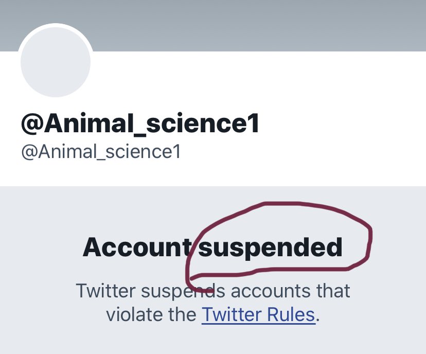 And ... “suspended”