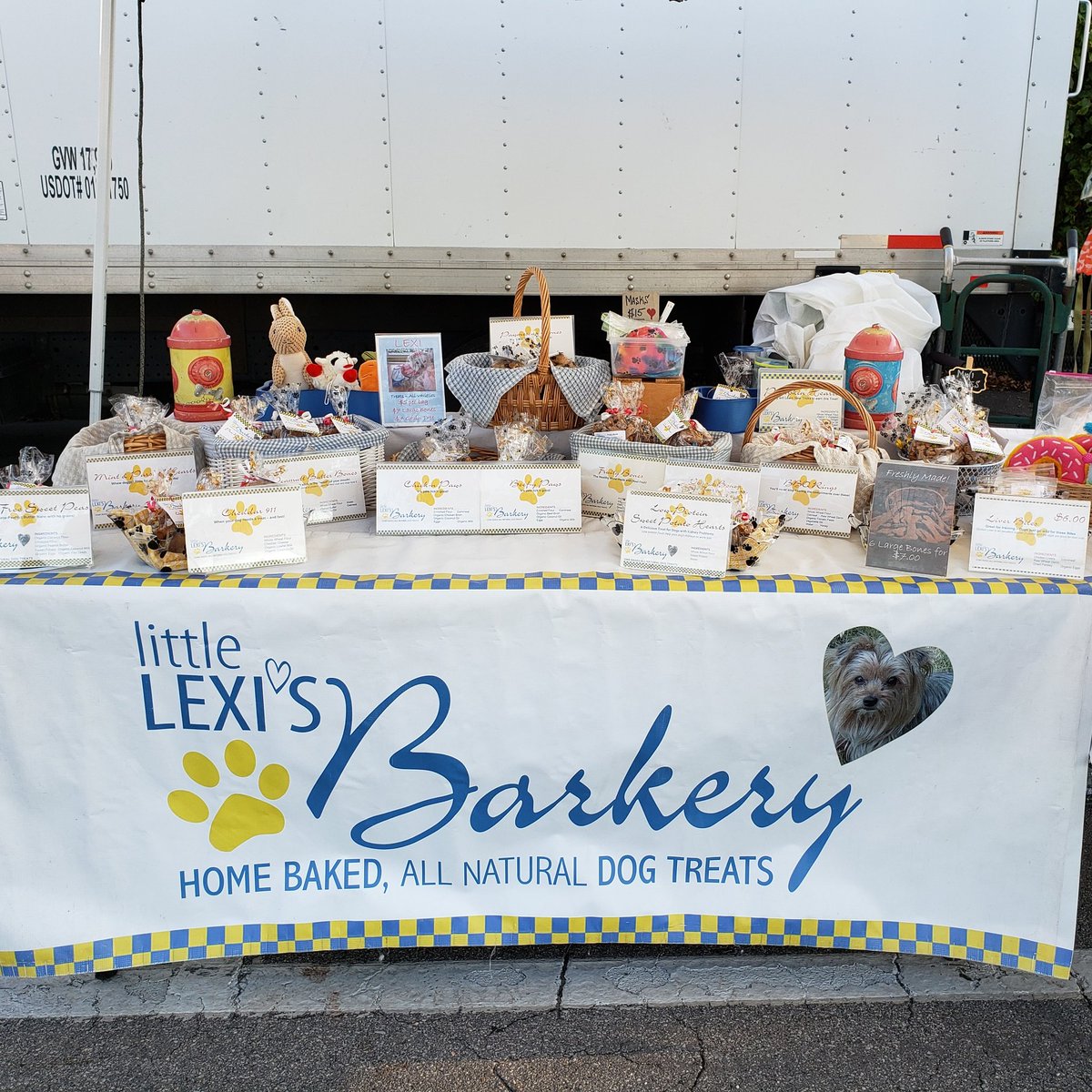 Mindy Abbruzzese tweet media