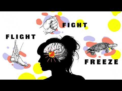 SoccerResilient's tweet photo. Before you can control your anxiety you have to know why anxiety occurs. Fight Flight Freeze β Anxiety Explained For Teens https://t.co/nCHmrptReD @DrBradMiller2 #WellsThomspon #SoccerResilience #Control https://t.co/doIugHnTXv